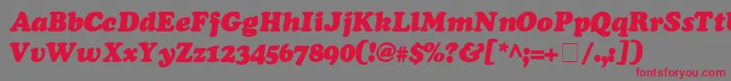 CooperSsiExtraBlackItalic Font – Red Fonts on Gray Background