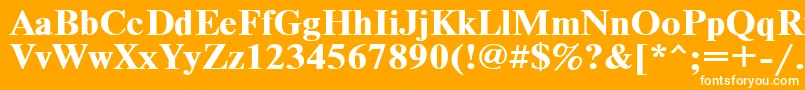 フォントTimeset110b – オレンジの背景に白い文字