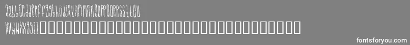 SignalToNoise Font – White Fonts on Gray Background
