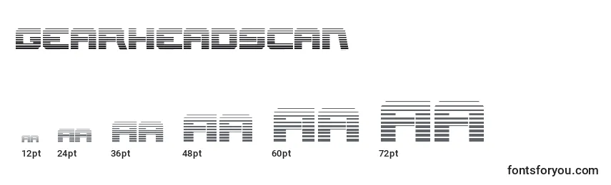 Gearheadscan Font Sizes