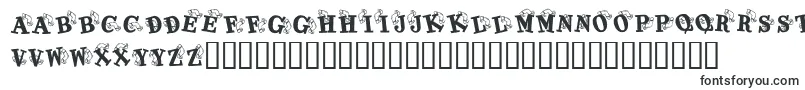 Шрифт KrKaboomerang – шрифты для логотипов