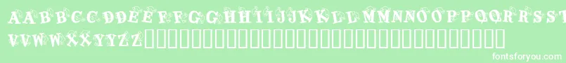 KrKaboomerang Font – White Fonts on Green Background