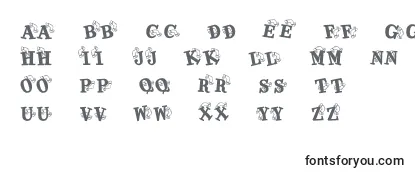 KrKaboomerang Font