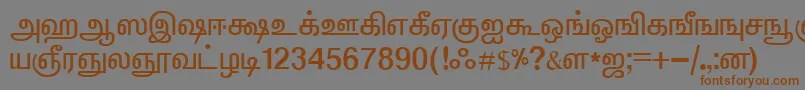 フォントElangoTmlPanchaliNormal – 茶色の文字が灰色の背景にあります。