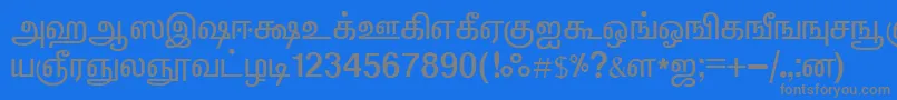 ElangoTmlPanchaliNormal-fontti – harmaat kirjasimet sinisellä taustalla