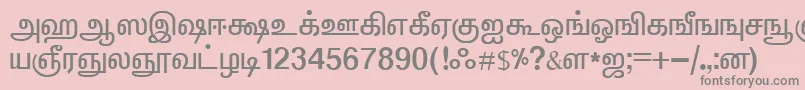 フォントElangoTmlPanchaliNormal – ピンクの背景に灰色の文字