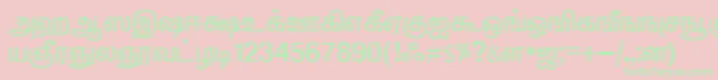 ElangoTmlPanchaliNormal Font – Green Fonts on Pink Background