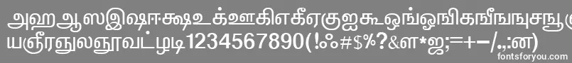 フォントElangoTmlPanchaliNormal – 灰色の背景に白い文字