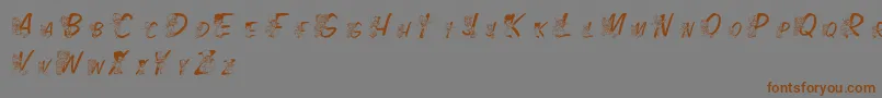 LmsColorKids Font – Brown Fonts on Gray Background
