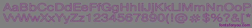 PragmaticaHw Font – Purple Fonts on Gray Background