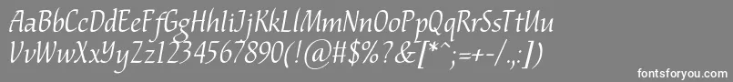 Nataliscriptc Font – White Fonts on Gray Background