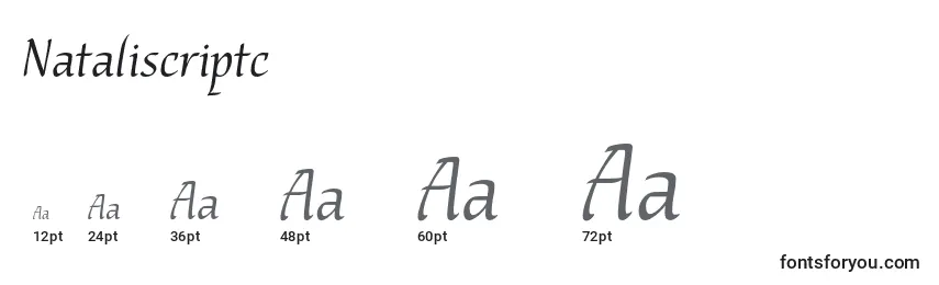 Размеры шрифта Nataliscriptc