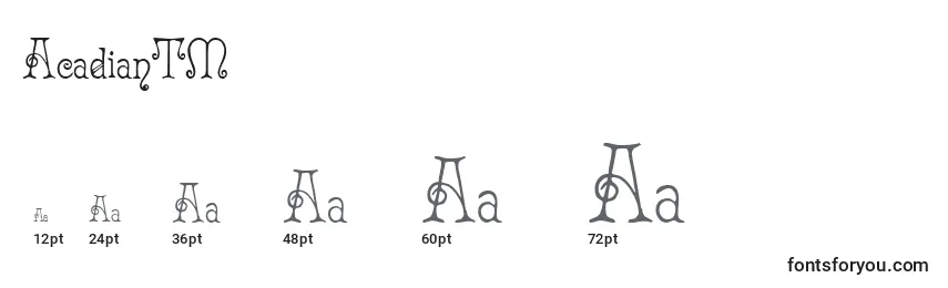 Размеры шрифта AcadianTM