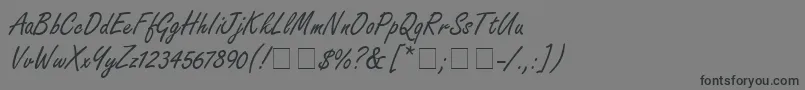 NanoScriptSsi-Schriftart – Schwarze Schriften auf grauem Hintergrund