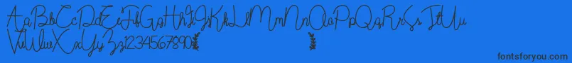 Wildflowerbold-Schriftart – Schwarze Schriften auf blauem Hintergrund