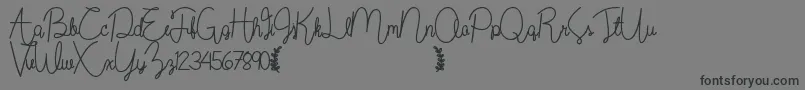 Wildflowerbold-Schriftart – Schwarze Schriften auf grauem Hintergrund