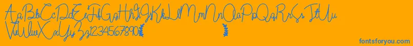 Wildflowerbold Font – Blue Fonts on Orange Background