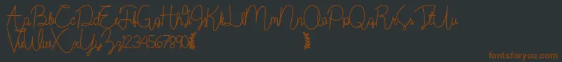 Wildflowerbold Font – Brown Fonts on Black Background