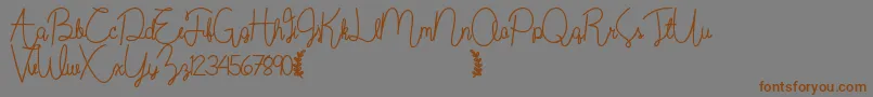 Шрифт Wildflowerbold – коричневые шрифты на сером фоне