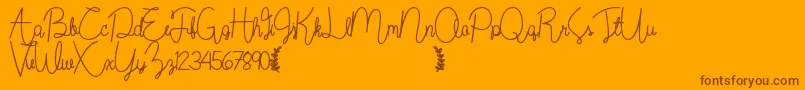 Wildflowerbold Font – Brown Fonts on Orange Background