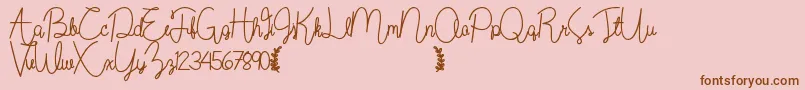 フォントWildflowerbold – ピンクの背景に茶色のフォント