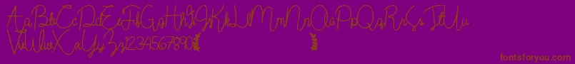 Wildflowerbold Font – Brown Fonts on Purple Background