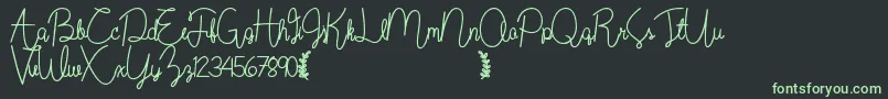 フォントWildflowerbold – 黒い背景に緑の文字
