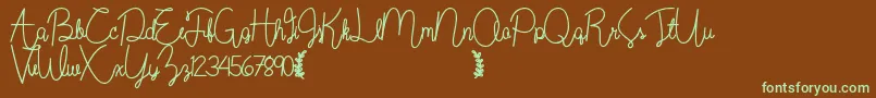 フォントWildflowerbold – 緑色の文字が茶色の背景にあります。