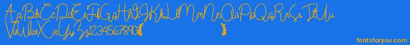 Wildflowerbold Font – Orange Fonts on Blue Background