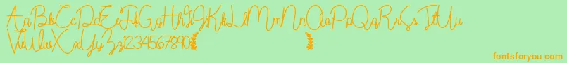 フォントWildflowerbold – オレンジの文字が緑の背景にあります。