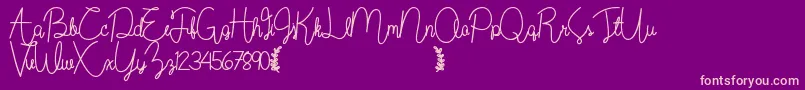 fuente Wildflowerbold – Fuentes Rosadas Sobre Fondo Morado