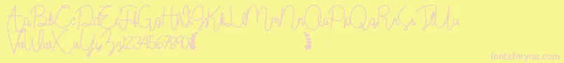 Wildflowerbold-Schriftart – Rosa Schriften auf gelbem Hintergrund