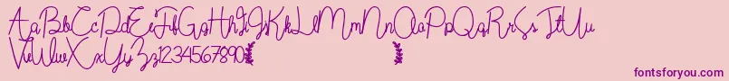 Wildflowerbold Font – Purple Fonts on Pink Background