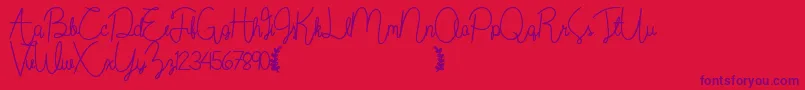 Wildflowerbold Font – Purple Fonts on Red Background