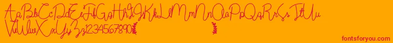 Wildflowerbold Font – Red Fonts on Orange Background