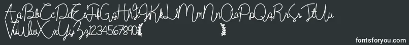 Wildflowerbold-Schriftart – Weiße Schriften