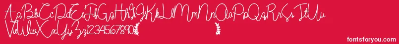 Wildflowerbold Font – White Fonts on Red Background