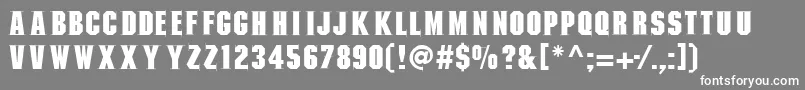 Mannohkserif Font – White Fonts on Gray Background