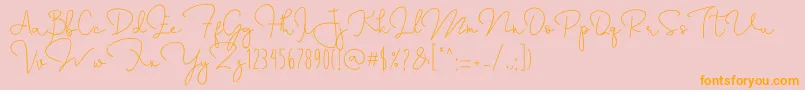 Annisa Font – Orange Fonts on Pink Background