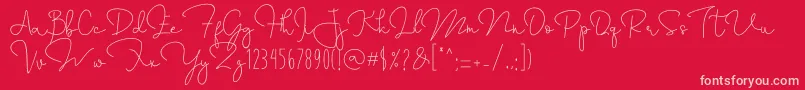Annisa Font – Pink Fonts on Red Background
