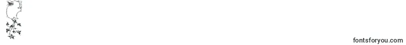 フォントLisburneinitials – フォント数字3