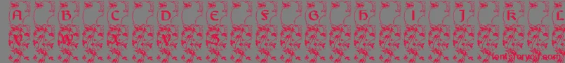 Lisburneinitials Font – Red Fonts on Gray Background
