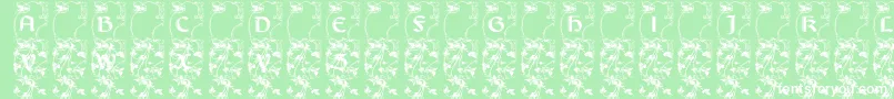 Lisburneinitials Font – White Fonts on Green Background