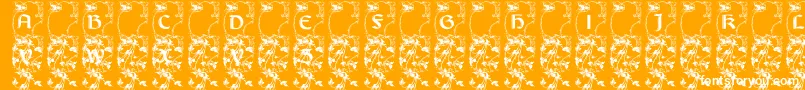 Lisburneinitials Font – White Fonts on Orange Background