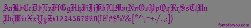 ToccataRegular Font – Purple Fonts on Gray Background