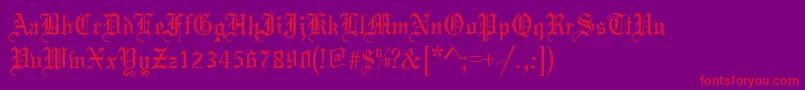 ToccataRegular Font – Red Fonts on Purple Background