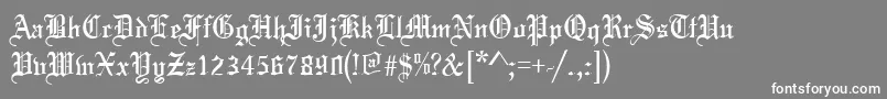 フォントToccataRegular – 灰色の背景に白い文字