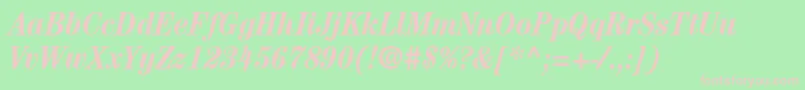 ItcCenturyLtBoldCondensedItalic Font – Pink Fonts on Green Background