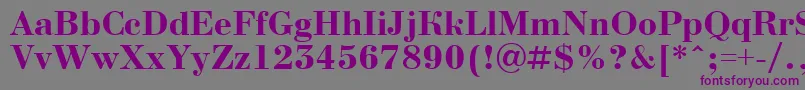 Police ABodoninovaBold – polices violettes sur fond gris