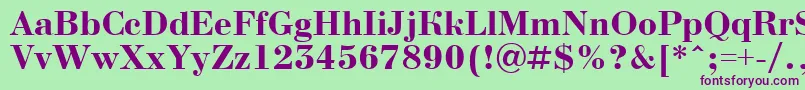 ABodoninovaBold Font – Purple Fonts on Green Background